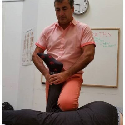 Dr Shahin Pourgol - NUMSS professor Dr Shahin Pourgol - NUMSS professor